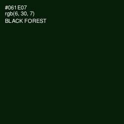 #061E07 - Black Forest Color Image